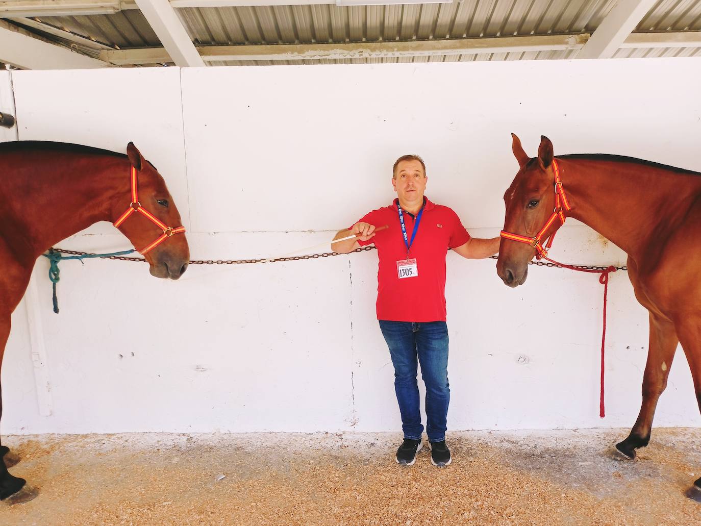 Las mejores imágenes del concurso de caballos de Tineo
