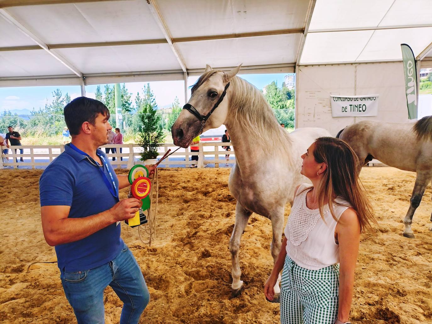 Las mejores imágenes del concurso de caballos de Tineo