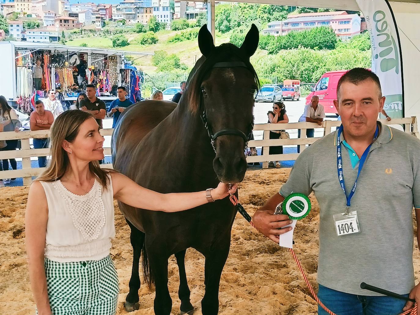 Las mejores imágenes del concurso de caballos de Tineo