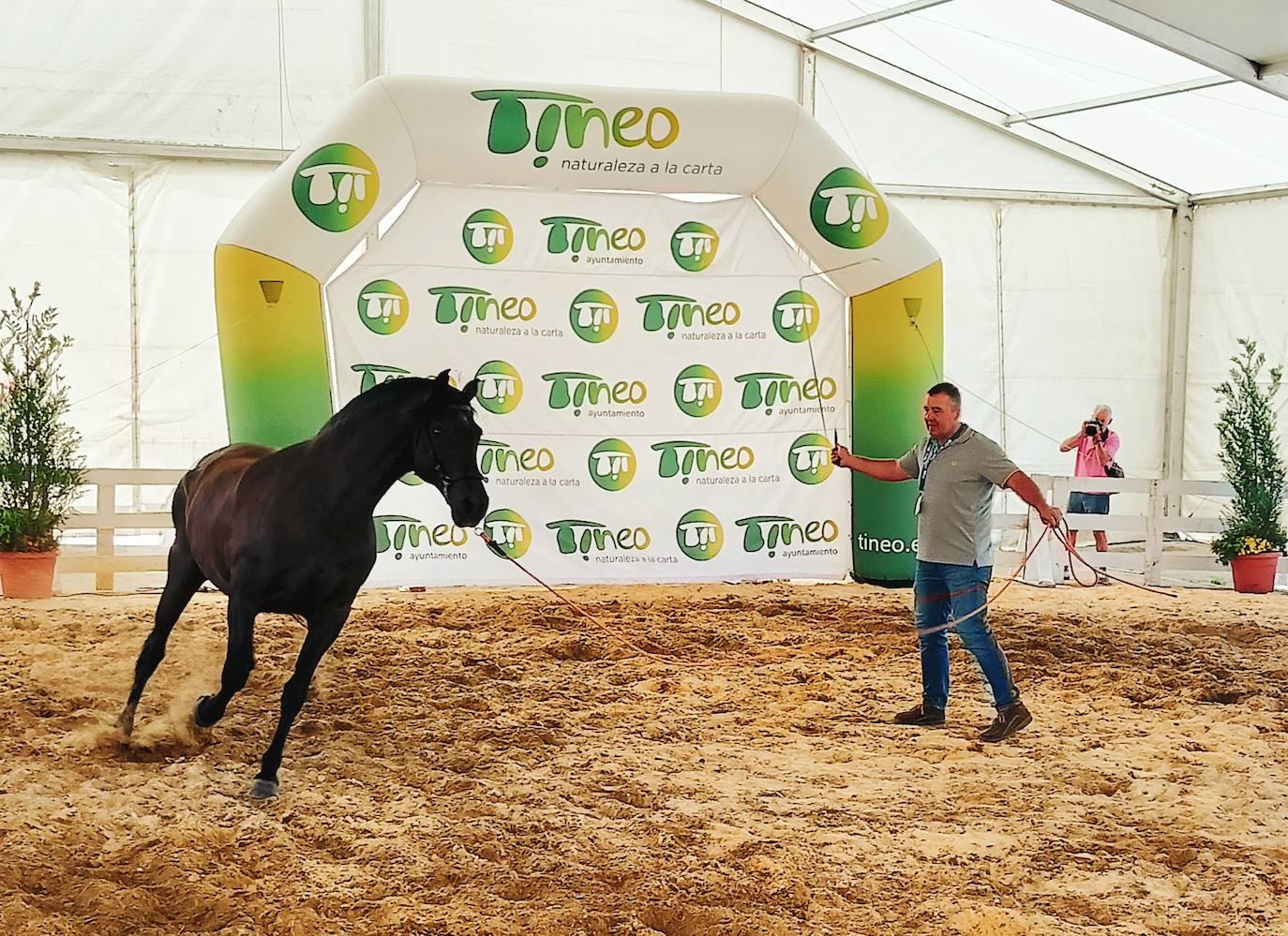 Las mejores imágenes del concurso de caballos de Tineo