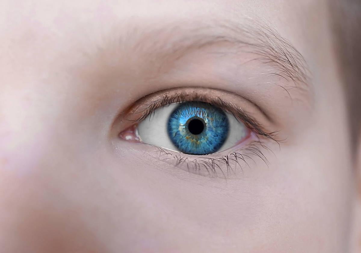 Hay cuatro tipos diferentes de conjuntivitis.