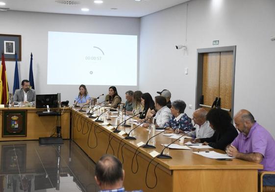 Un momento de la intervención de la exalcaldesa en el Pleno de ayer.