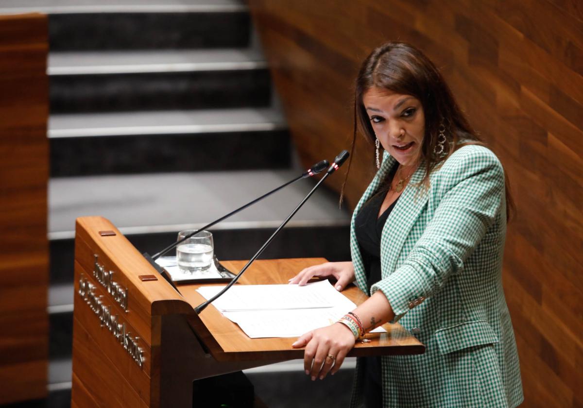 La portavoz de Vox, Carolina Lópéz, durante su intervención.