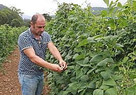 «Estamos perdiendo muchos kilos de fabes por falta de instalaciones de riego»