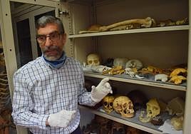 El paleontólogo Antonio Rosas, en las instalaciones del CSIC en Madrid, donde se conservan los fósiles de El Sidrón.