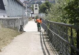 Un operario municipal realizando ayer labores de desbroce en el tramo de senda fluvial del Piles reparado que reabrirá mañana.