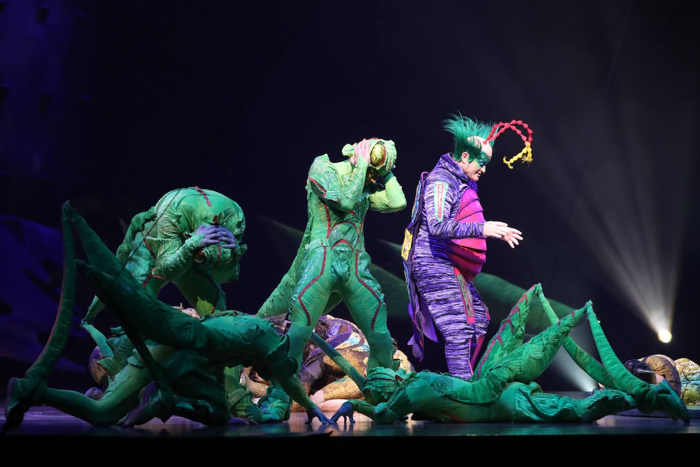 Eclosión de talento, destreza y belleza en &#039;Ovo&#039;