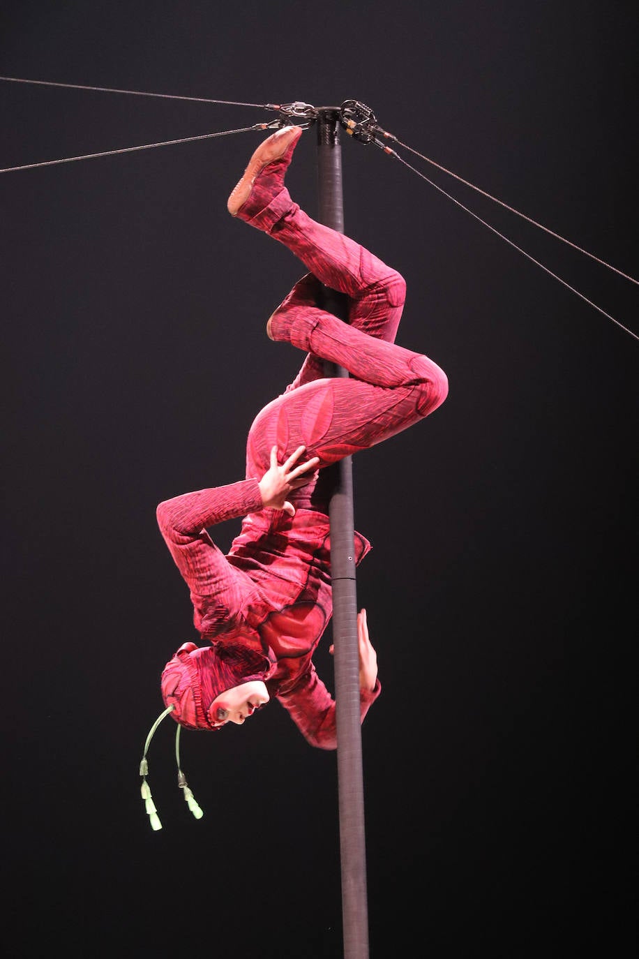 Eclosión de talento, destreza y belleza en &#039;Ovo&#039;