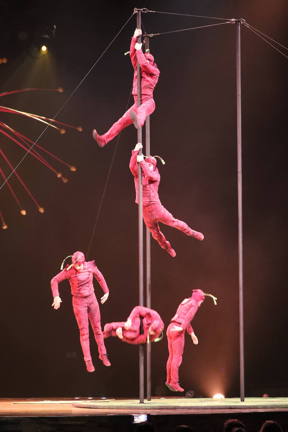 Eclosión de talento, destreza y belleza en &#039;Ovo&#039;