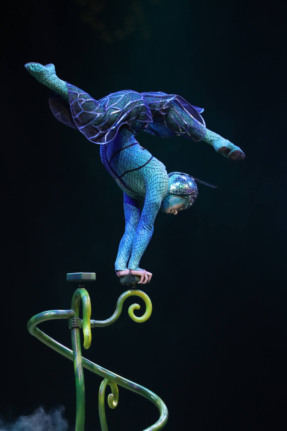 Eclosión de talento, destreza y belleza en &#039;Ovo&#039;