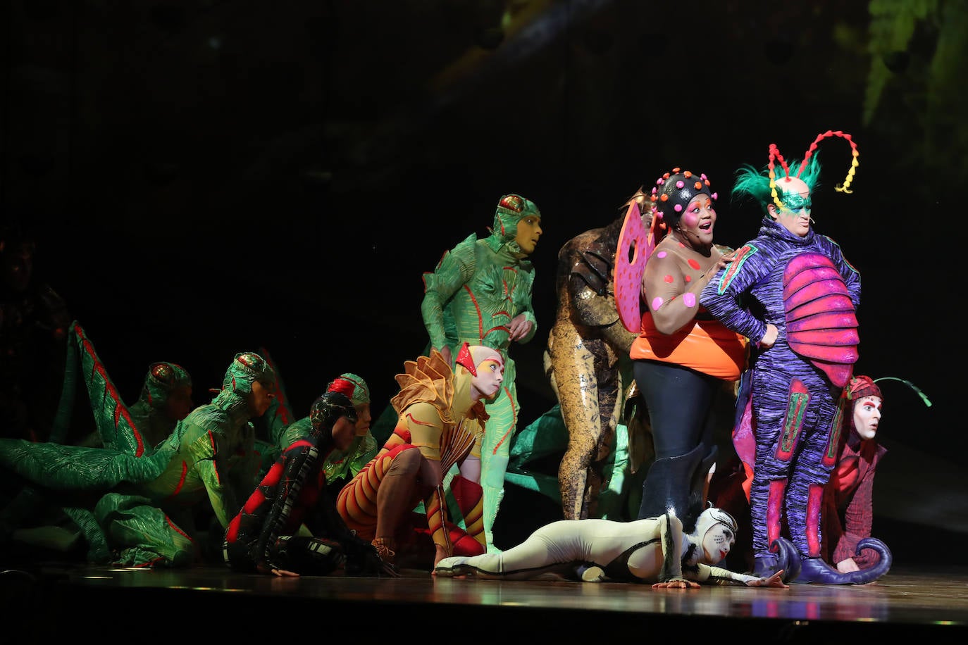 Eclosión de talento, destreza y belleza en &#039;Ovo&#039;