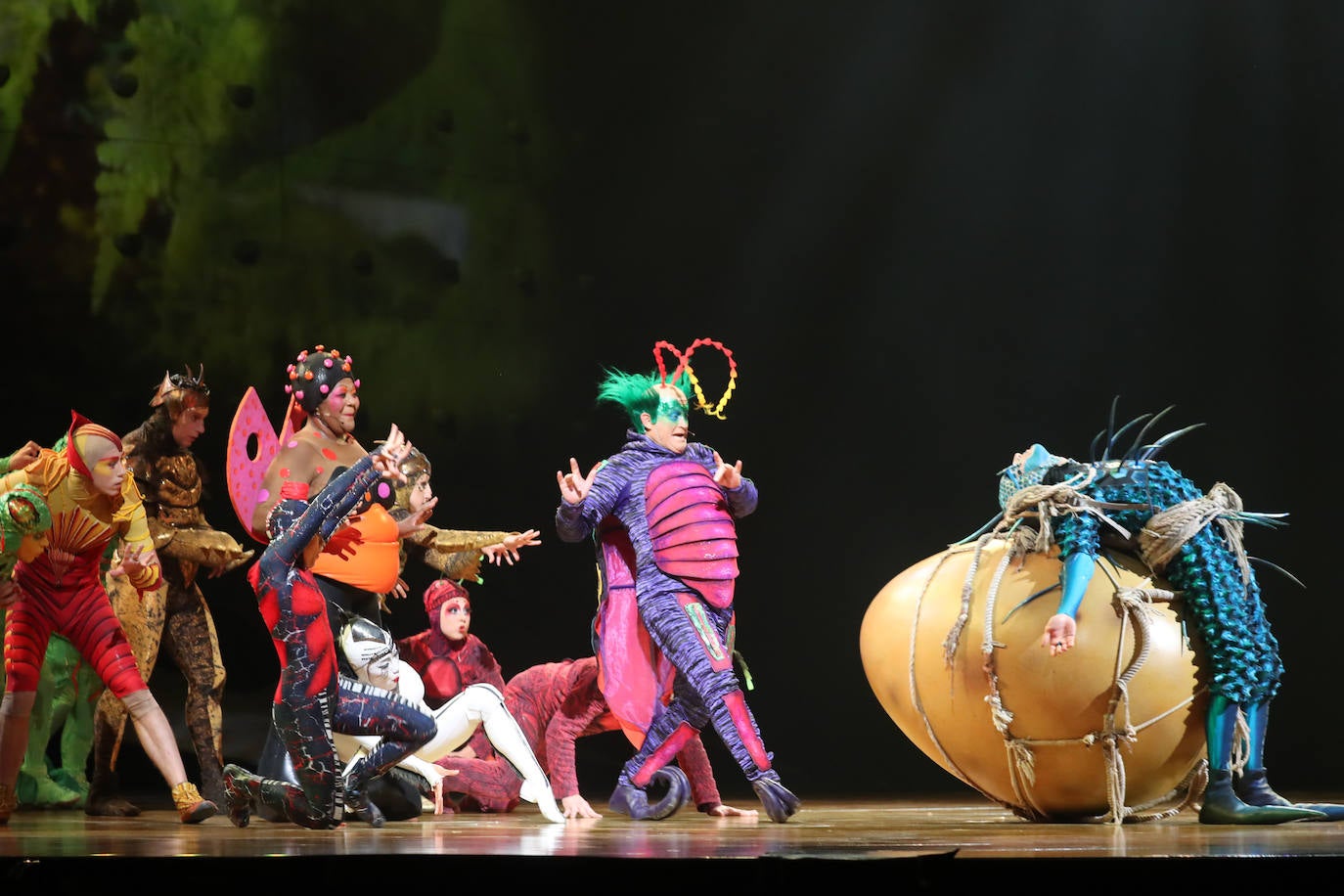 Eclosión de talento, destreza y belleza en &#039;Ovo&#039;