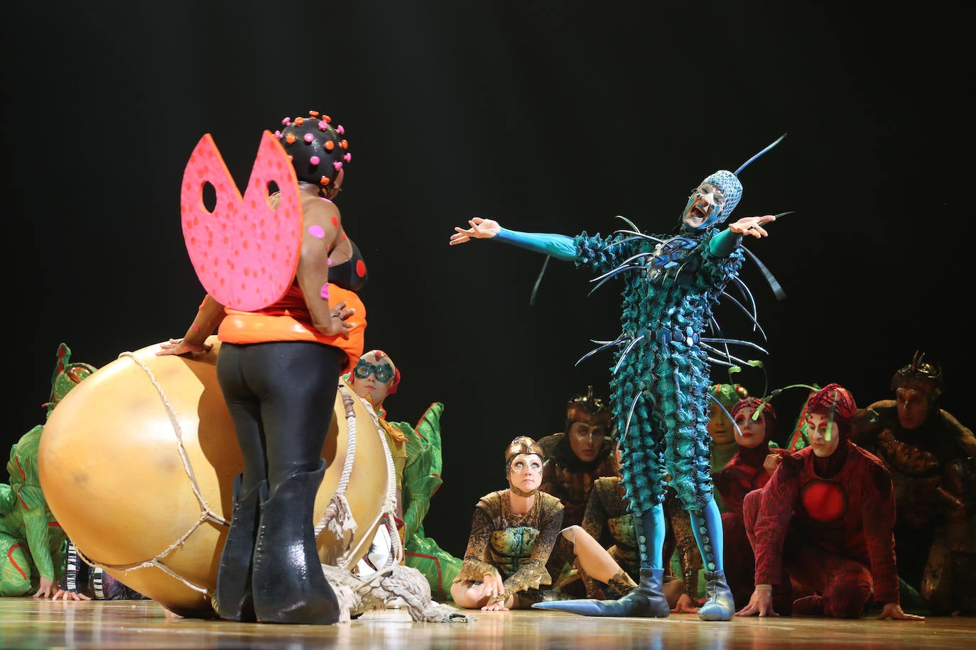 Eclosión de talento, destreza y belleza en &#039;Ovo&#039;