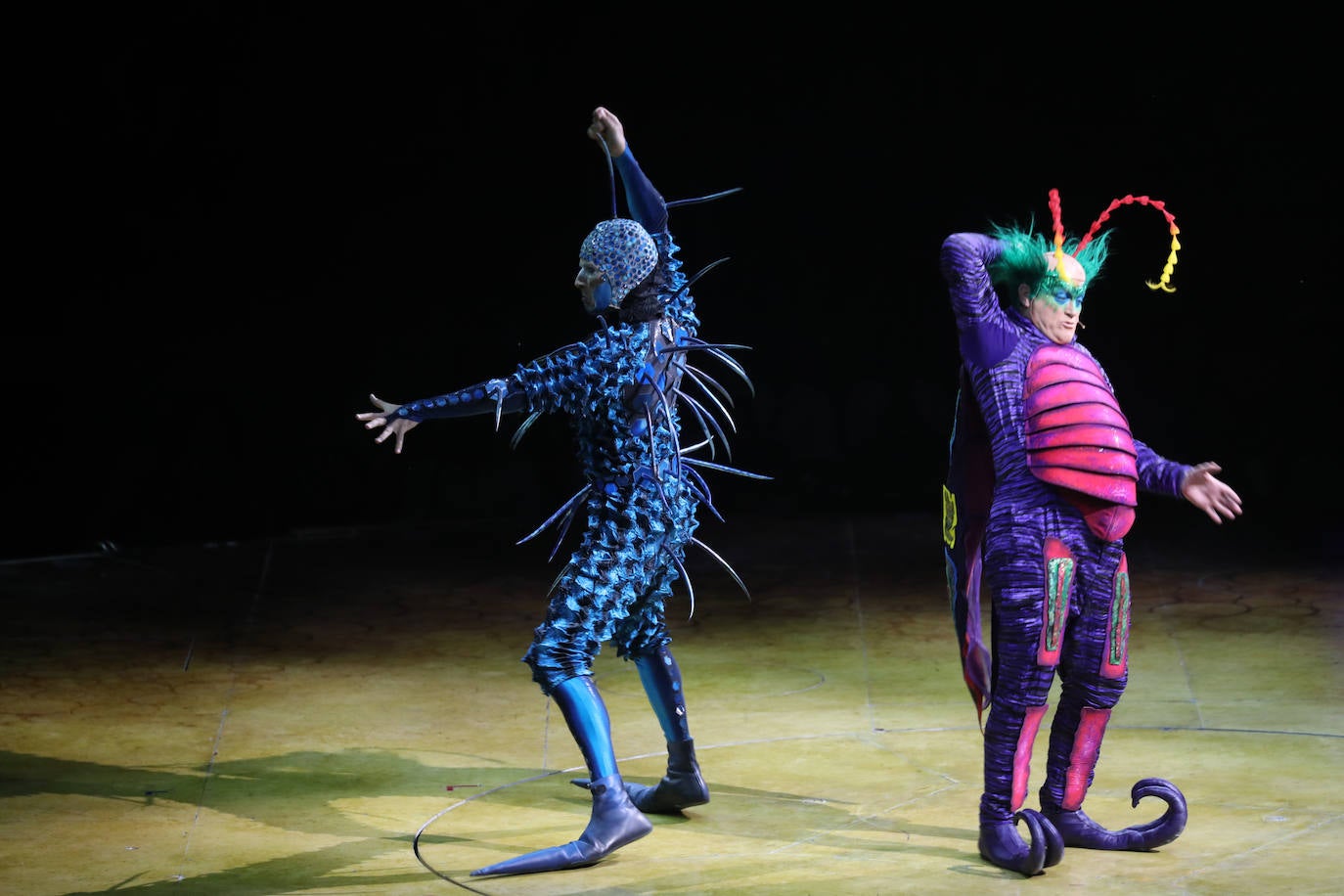 Eclosión de talento, destreza y belleza en &#039;Ovo&#039;