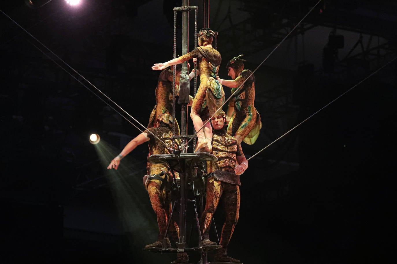 Eclosión de talento, destreza y belleza en &#039;Ovo&#039;