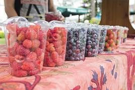 Villaviciosa celebra este 'finde' el festival del Arándano y los Frutos Rojos de Asturias