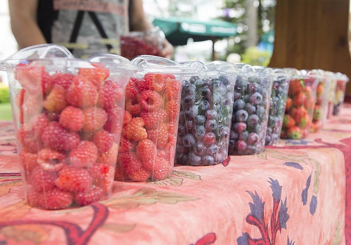 Villaviciosa celebra este 'finde' el festival del Arándano y los Frutos Rojos de Asturias
