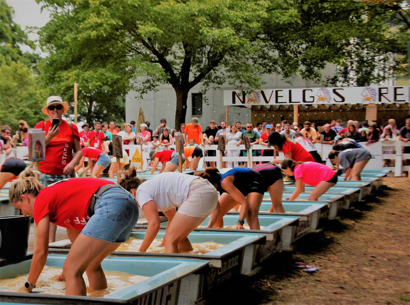 Navelgas brilla como el oro