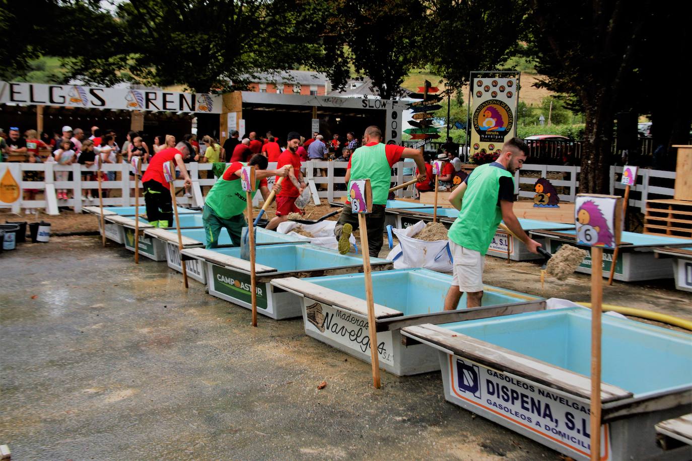 Navelgas brilla como el oro