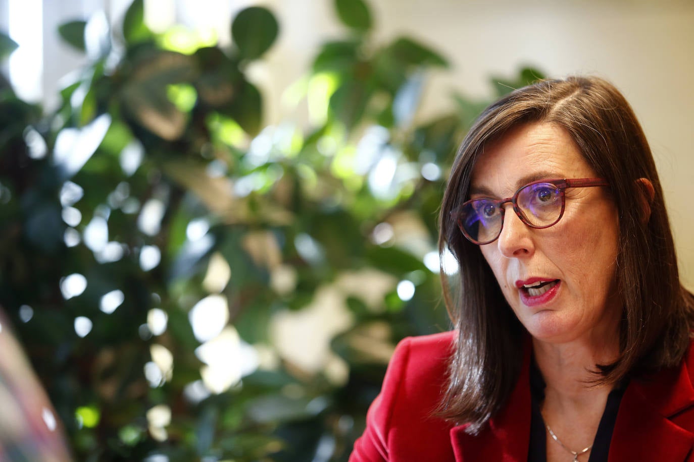 Consejera de Transición Ecológica, Industria y Desarrollo Económico. No traspone Barbón la estructura del ministerio de Teresa Ribera a Asturias, sino que enmarca la transición ecológica junto con la industria y el departamento de desarrollo económico, para hacer frente a la transformación necesaria para el sector industrial asturiano en un marco internacional en el que el respeto al medio ambiente y la evolución hacia nuevas formas de producción marcan el rumbo general.