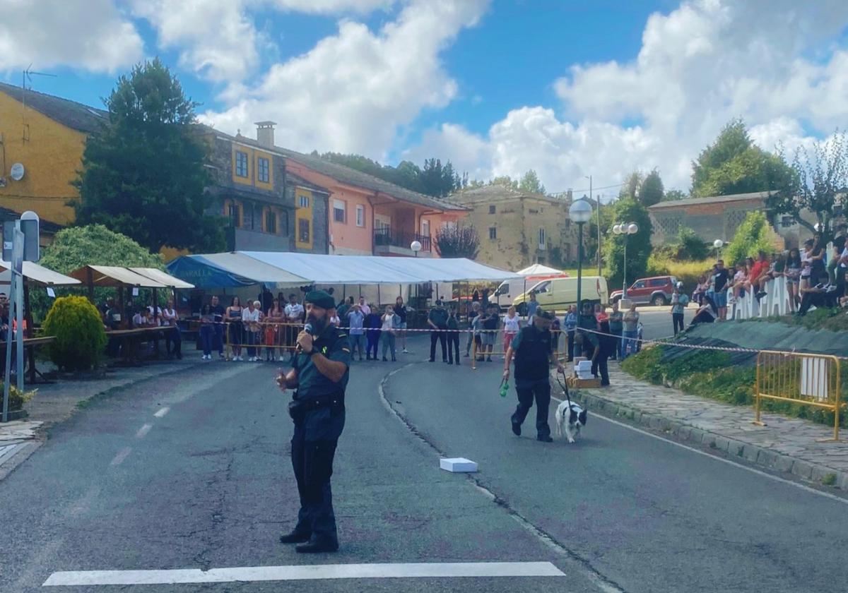 Un momento de la exhibición del Servicio Cinológico de la Comandancia de la Guardia Civil de Asturias.