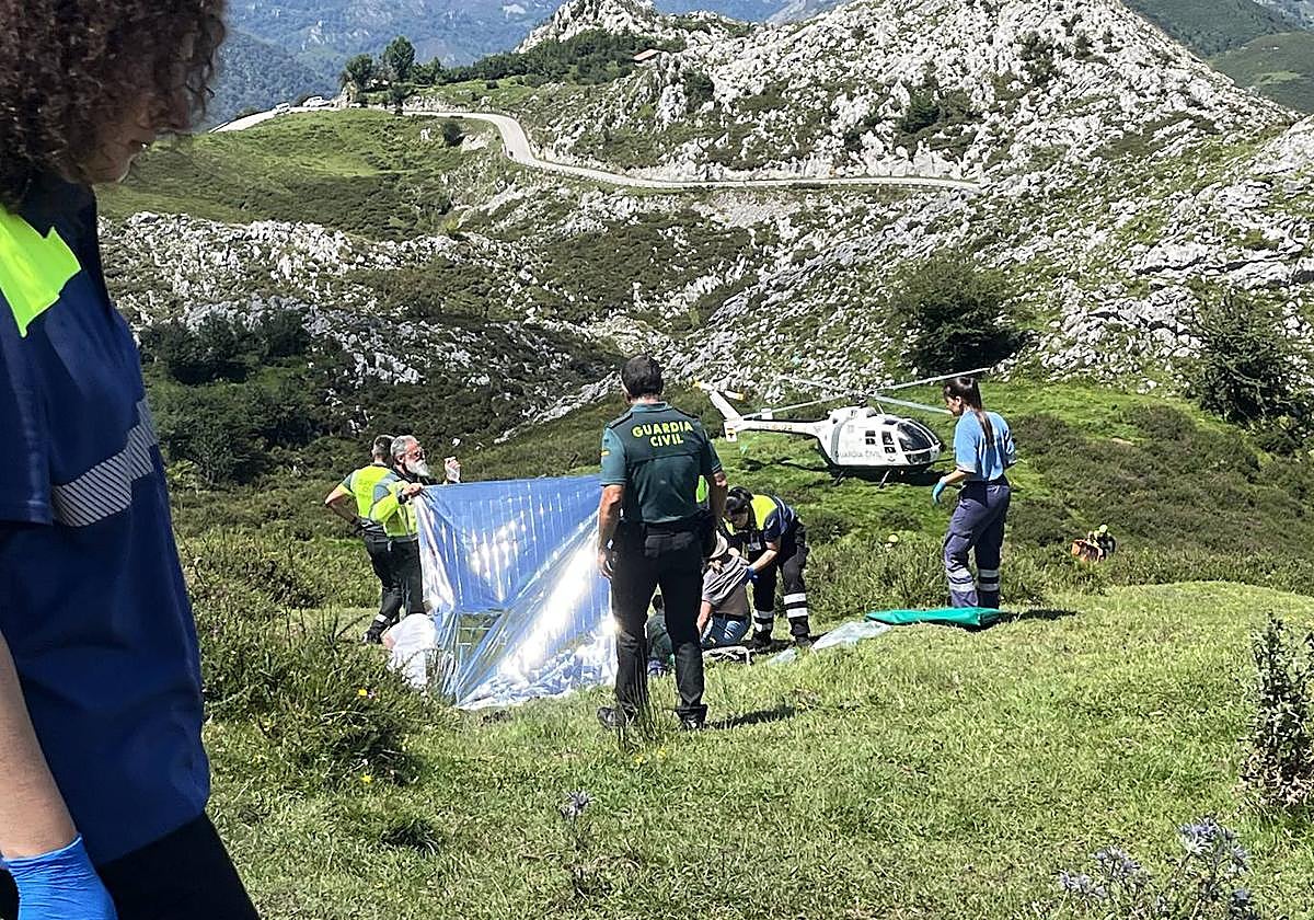 El presidente regional defiende el modelo de transporte en los Lagos