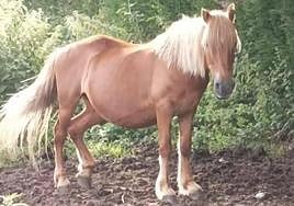 'Caudalina' en la actualidad.