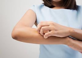 Alerta por una plaga de mosca negra en España: cómo actúa y qué hacer