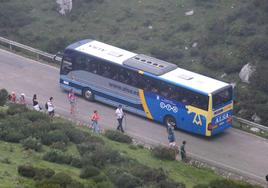 Un autobús de Alsa, en la carretera hacia los Lagos.