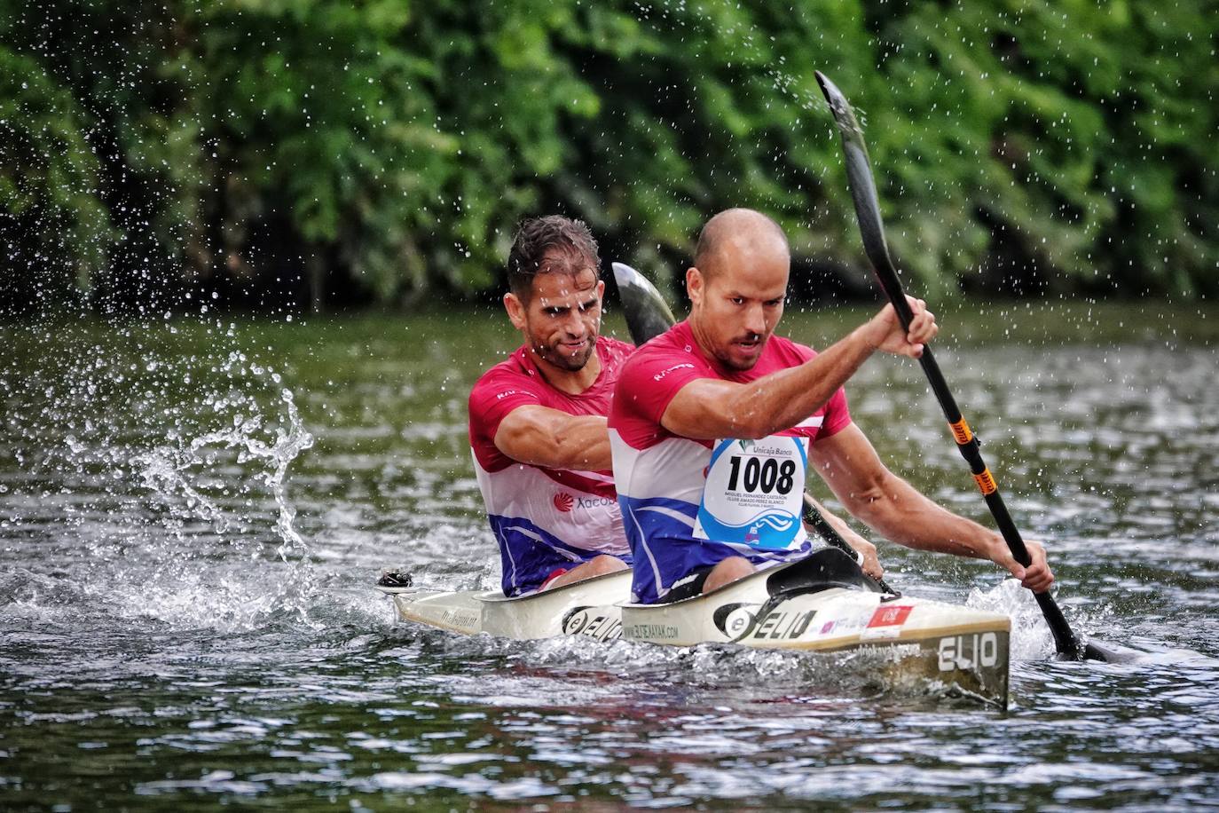 Luis Amado y Miguel Fernández Castañón.
