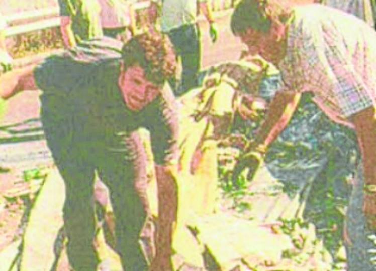 Recogida de los productos echados a perder.