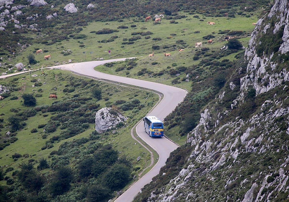Un autobús subiendo a los Lagos por la angosta carretera de acceso.
