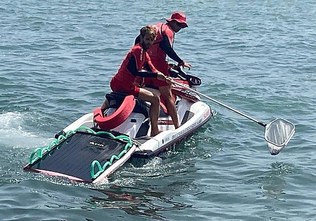 Personal de Salvamento recoge desde la moto de agua el ejemplar de carabela portuguesa hallado en la bahía de San Lorenzo.