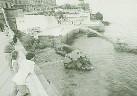 El terreno en disputa con el pedrero en primer plano.