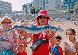 Un socorrista sostiene a la tintorera en el arenal de San Lorenzo.