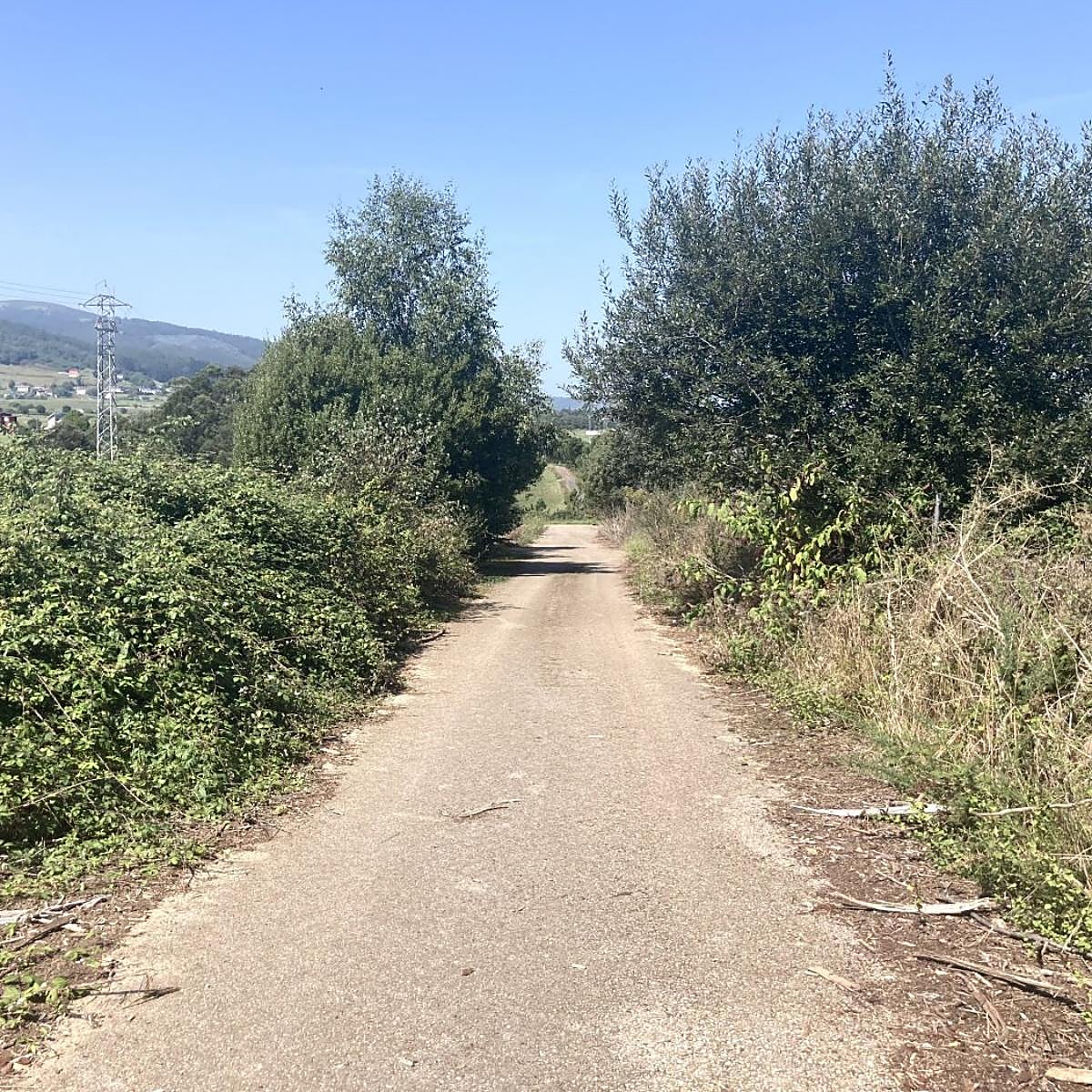 El cadáver de Valdés estaba «hinchado y sin zapatos»