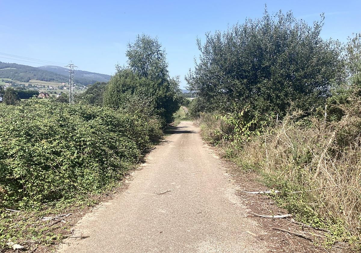 El camino de la zona de La Piniecha, en el pueblo de Setienes (Valdés), donde un ganadero localizó el cadáver de un hombre el pasado martes.