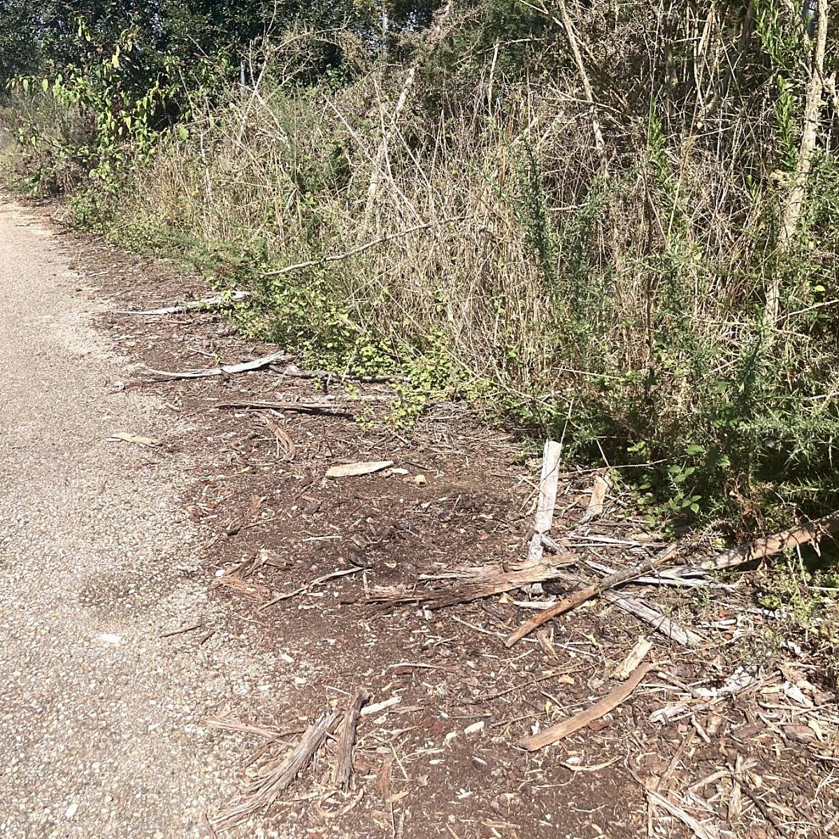 El cadáver de Valdés es el de un vecino del occidente y la jueza decreta el secreto de sumario