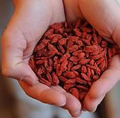 Cinco superalimentos para incorporar a nuestra dieta