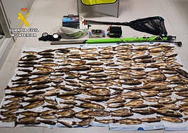 Investigados dos vecinos de Cangas del Narcea con 215 truchas en el maletero por usar el método de pesca eléctrica