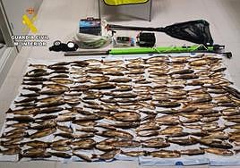 Las truchas y aparatos incautados por los agentes.