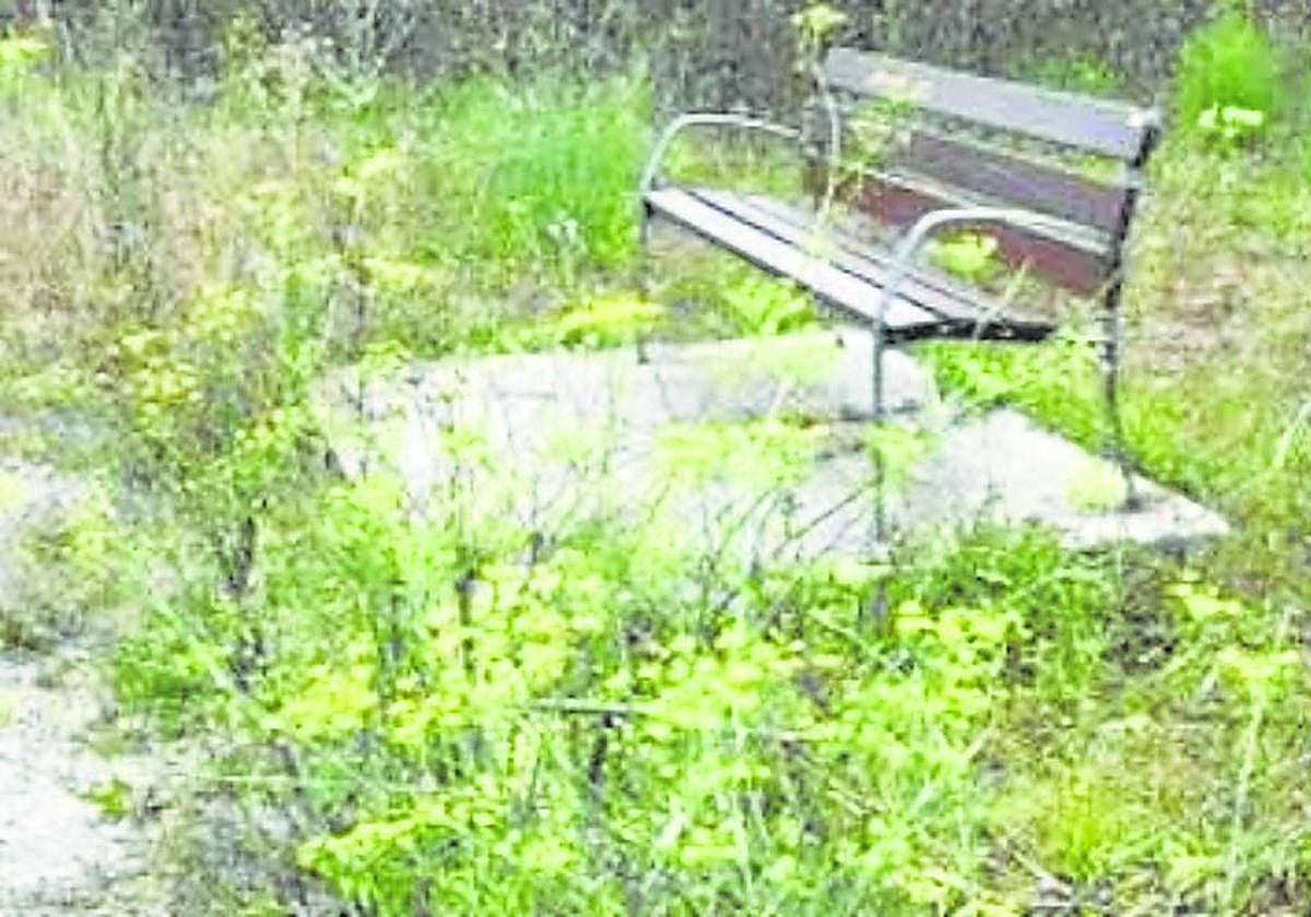 Actual situación de la zona de La Rozá, que evidencia una ausencia total de mantenimiento.