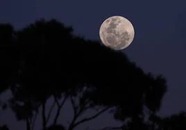 Vista de una superluna en Sídney.