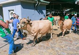 Los ganaderos, en el certamen de asturiana de los valles de Somiedo.