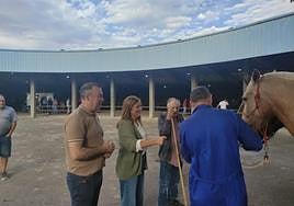 Visita la Feria de los Prados.