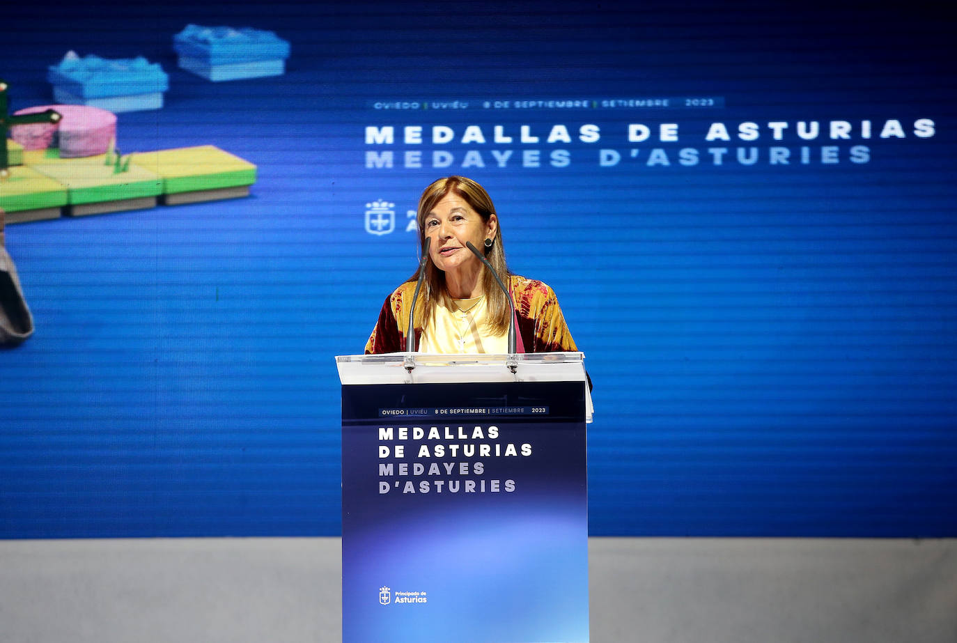 Los asistentes a la entrega de las Medallas de Asturias