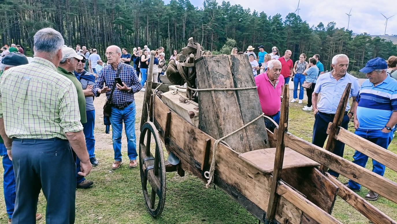 Tradición y homenaje en la Fiesta de la Trashumancia