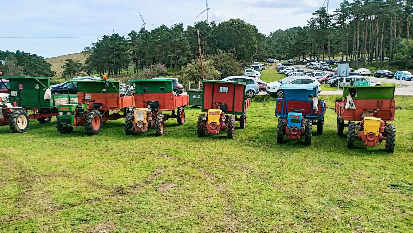 Tradición y homenaje en la Fiesta de la Trashumancia