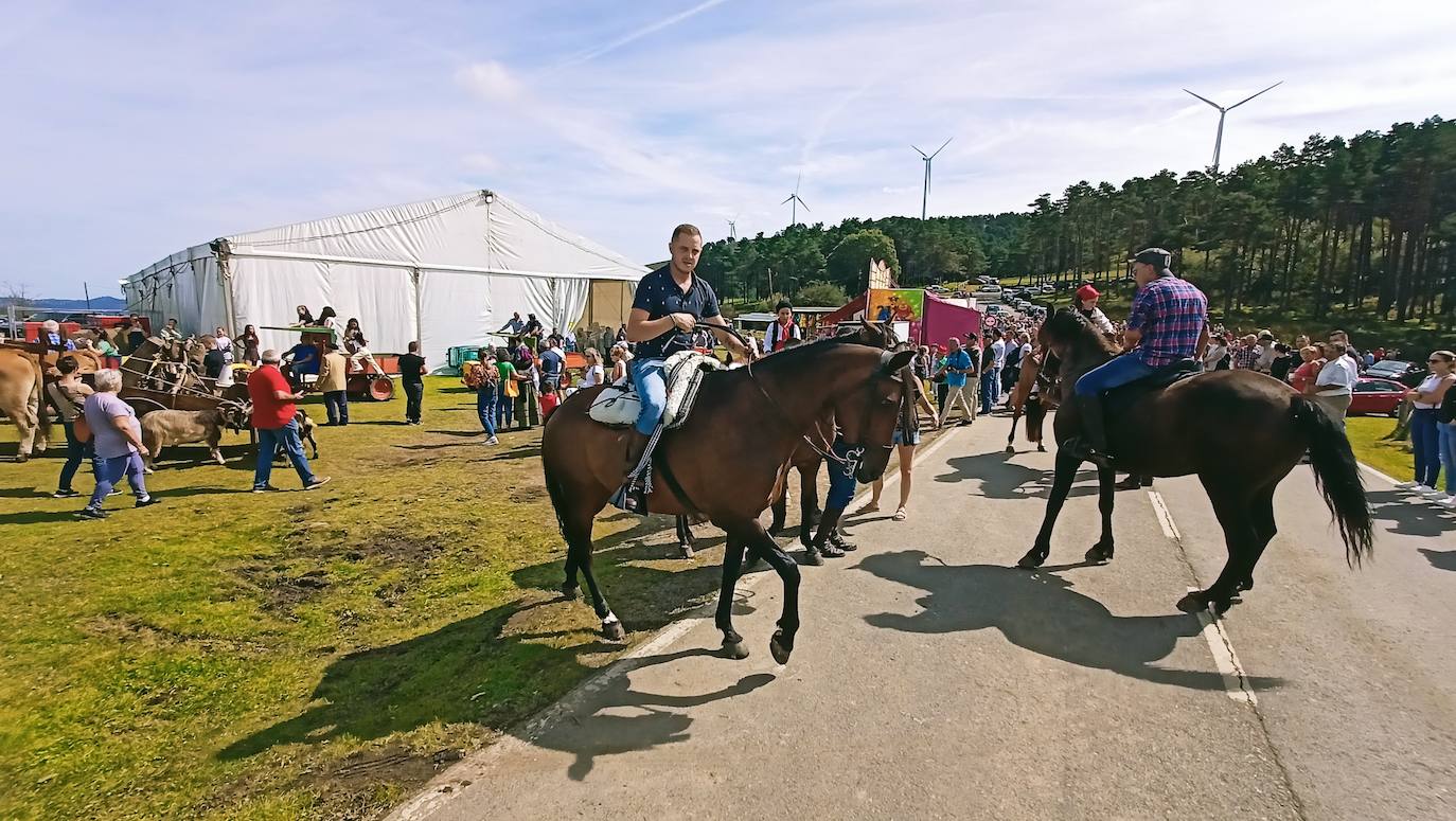Tradición y homenaje en la Fiesta de la Trashumancia