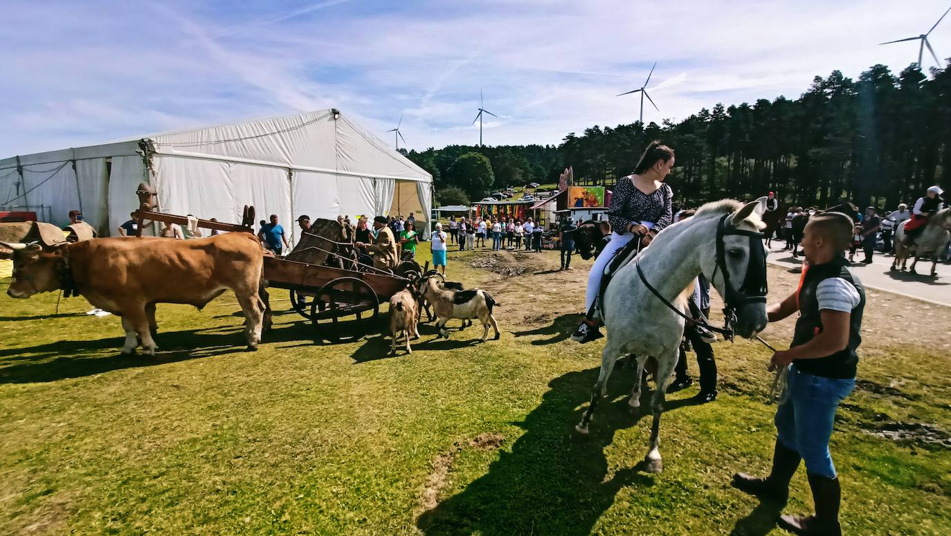 Tradición y homenaje en la Fiesta de la Trashumancia